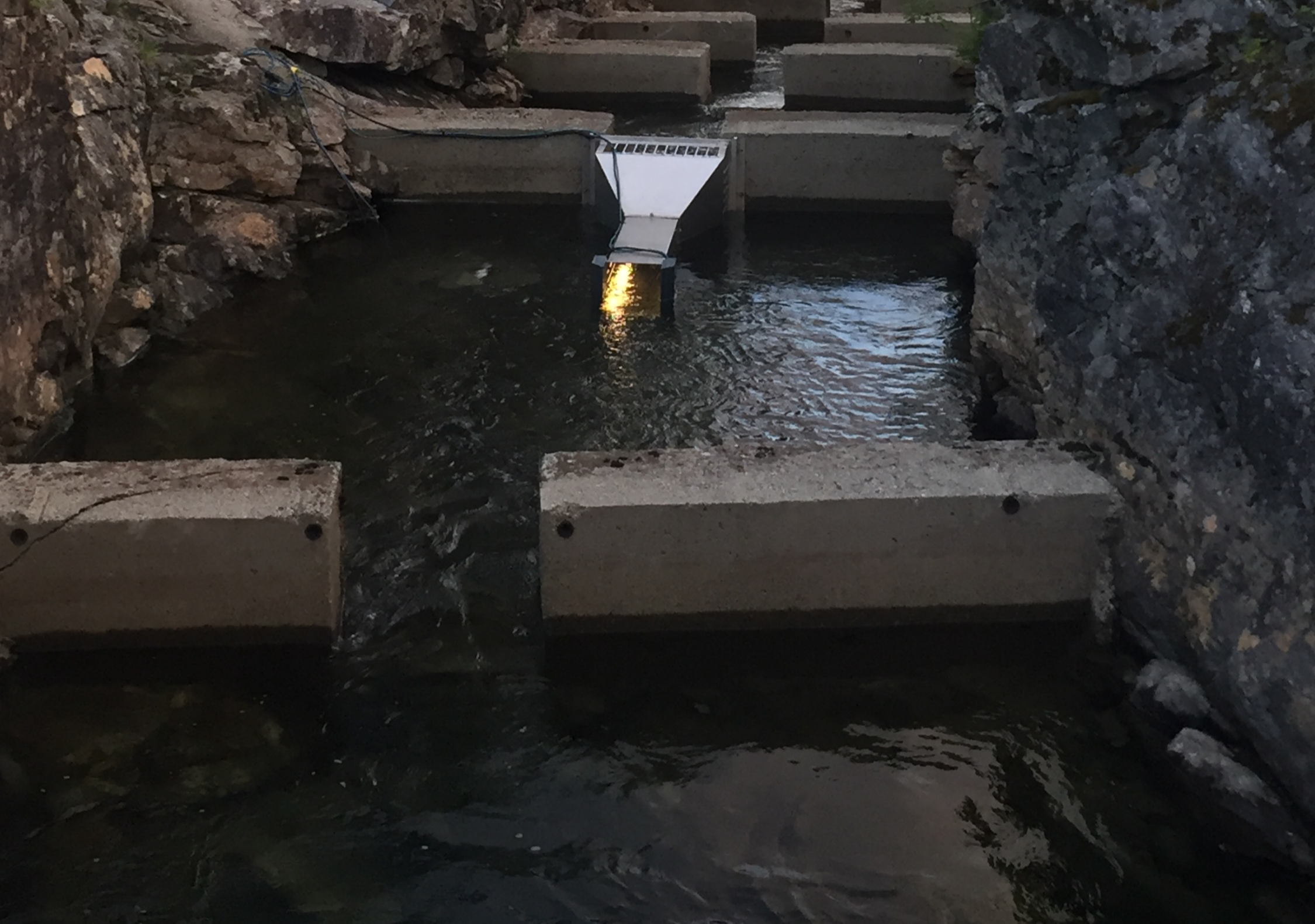 Elveovervåking — vassdragsanalyse og miljøovervåking